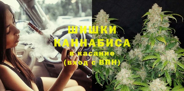 индика Нязепетровск