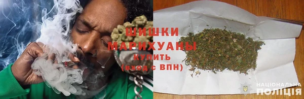 индика Нязепетровск