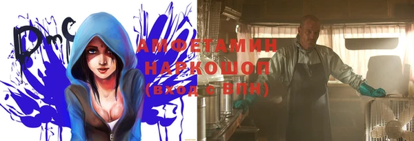 индика Нязепетровск
