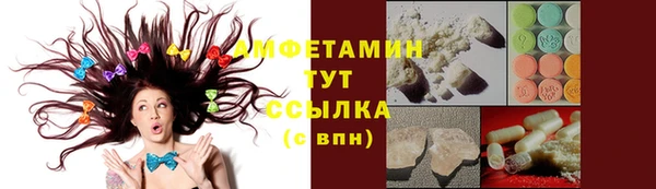 индика Нязепетровск