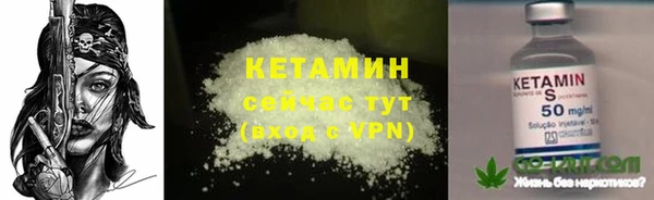 индика Нязепетровск