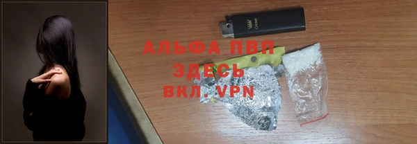 шишки Осинники