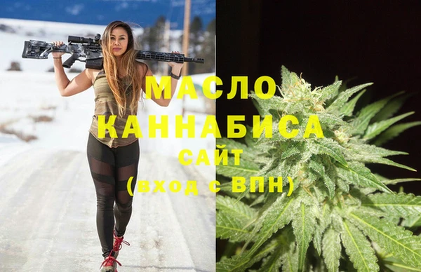 индика Нязепетровск