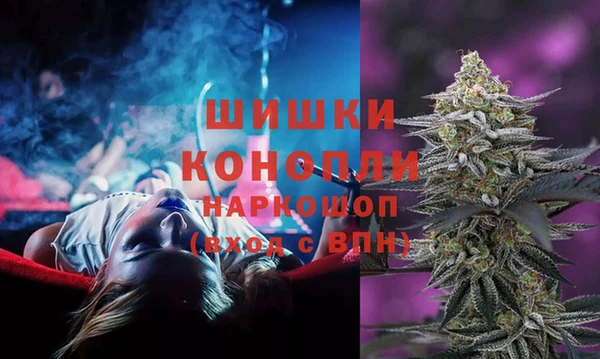 PSILOCYBIN Заводоуковск