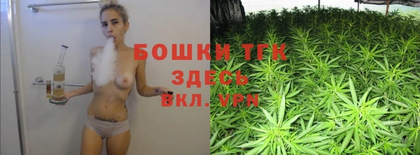 PSILOCYBIN Заводоуковск