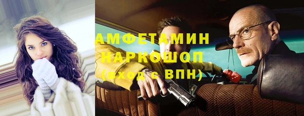 индика Нязепетровск